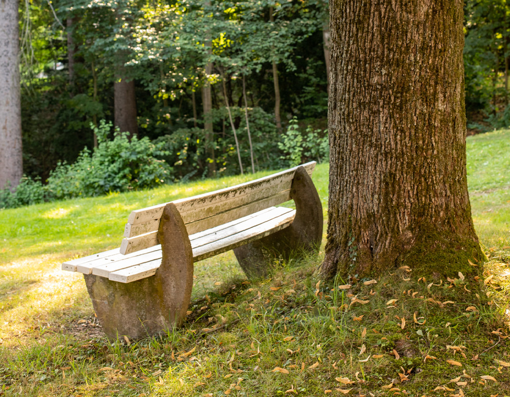 Eine Parkbank im Schatten des Baumes.